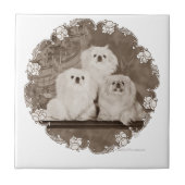 Carreau Patrimoine (Devant)