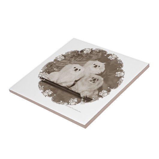 Carreau Patrimoine (Côté)