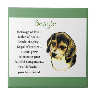 Carreau Patrimoine beagle de l'Amour