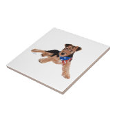 Carreau Patriotic Terrier Puppy (Côté)