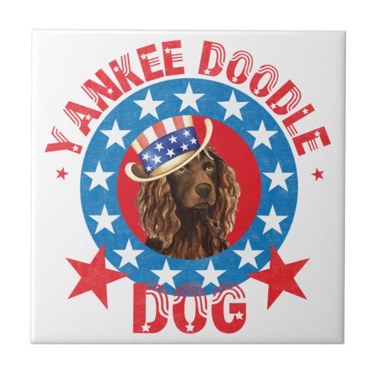 Carreau Patriotique Boykin Spaniel (Devant)