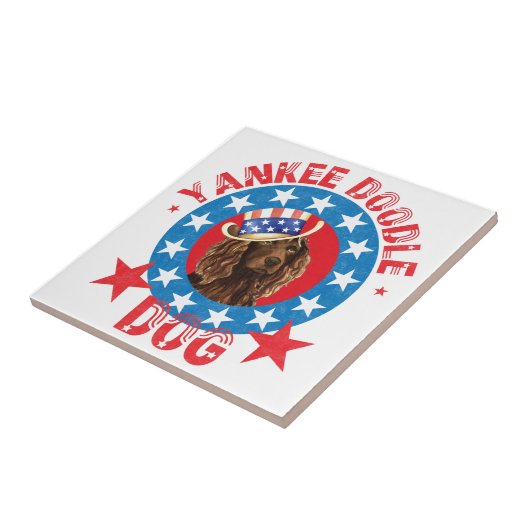 Carreau Patriotique Boykin Spaniel (Côté)