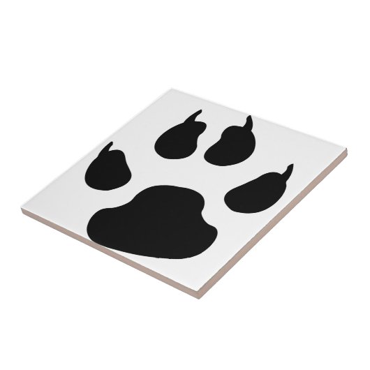 Carreau Patte de chien (Côté)