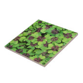 Carreau Patte de quatre feuilles de trèfle, Sorrel, avec D (Côté)