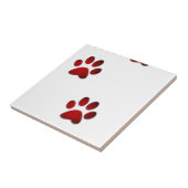 Carreau Pattes (Côté)