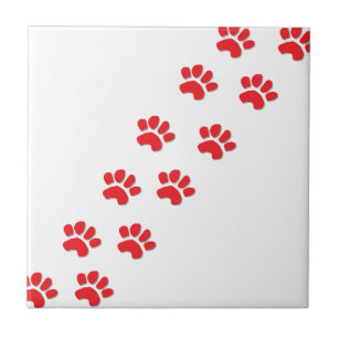 Carreau Pattes de Chien