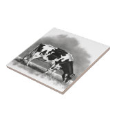 Carreau Pâturage de vache du Holstein : Dessin au crayon (Côté)