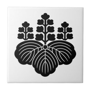 Carreau Paulownia avec 5-7 fleurs