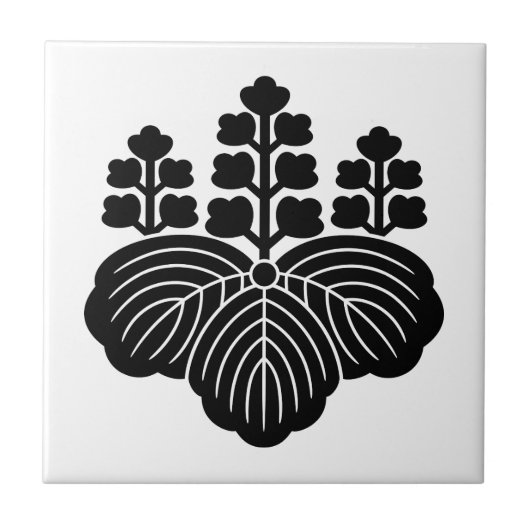 Carreau Paulownia avec 5-7 fleurs (Devant)