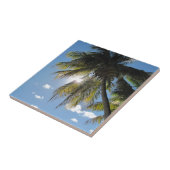 Carreau Paumes (Côté)