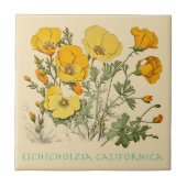 Carreau Pavot de Californie (Devant)