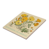 Carreau Pavot de Californie (Côté)