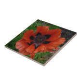 Carreau pavot d'Orient         (Côté)