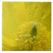 Carreau Pavot jaune oriental (Devant)