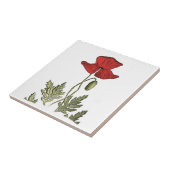 Carreau Pavot rouge (Côté)