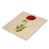 Carreau Pavots floraux rouges de fleur sauvage de pavot de (Côté)