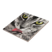 Carreau Paw de cueillette de chat Tabby (Côté)