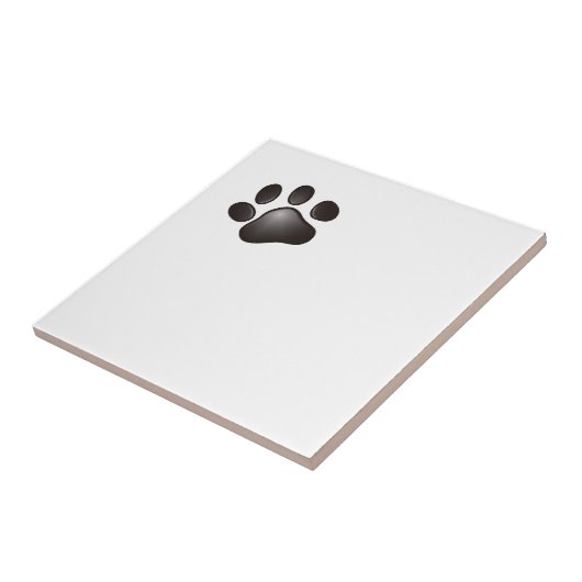 Carreau Paw noir (Côté)