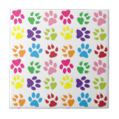 Carreau Paws Colorés, Paws Chiens, Paws Chat (Devant)