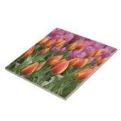 Carreau Pays-Bas (alias Holland), Lisse. Keukenhof (Côté)