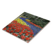 Carreau Pays-Bas, Hollande, Lisse, Keukenhof Gardens (Côté)