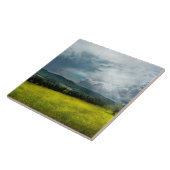 Carreau Pays - espoir éternel (Côté)