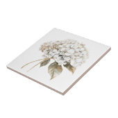 Carreau Pays français Elégant ivoire blanc hydrangée (Côté)