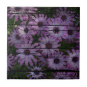 Carreau Pays occidental primitif Planche à grange pourpre (Devant)