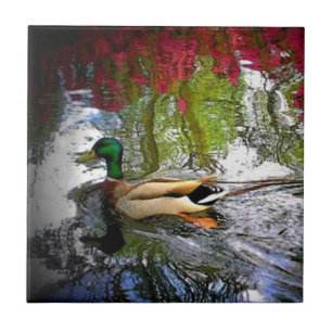 Carreau Pays Tile de canard sud