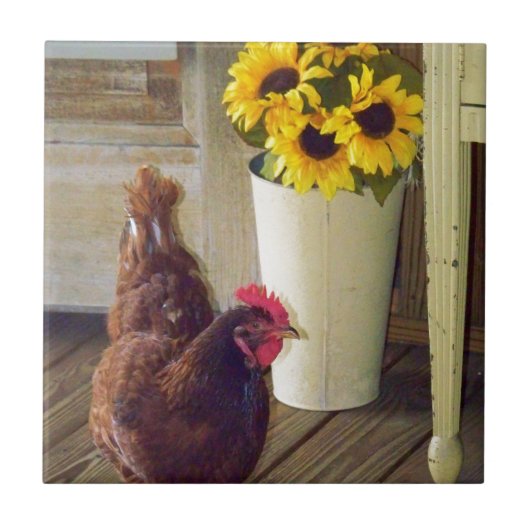 Carreau Pays vrai (Devant)