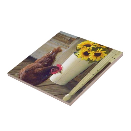 Carreau Pays vrai (Côté)