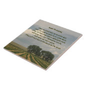 Carreau Paysage agricole traditionnel irlandais (Côté)