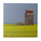 Carreau Paysage d'ascenseur de prairie (Devant)