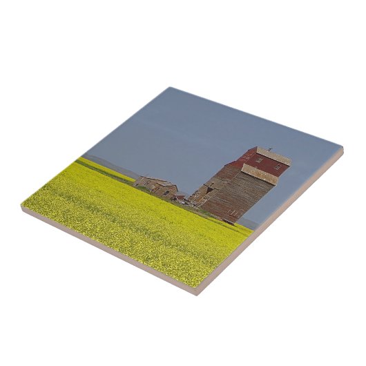 Carreau Paysage d'ascenseur de prairie (Côté)