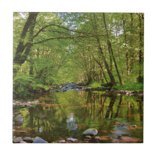 Carreau Paysage de la rivière Wilson