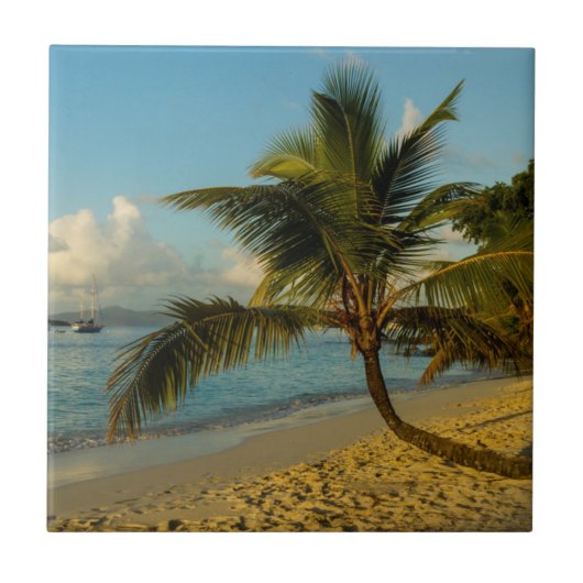 Carreau Paysage de plage (Devant)