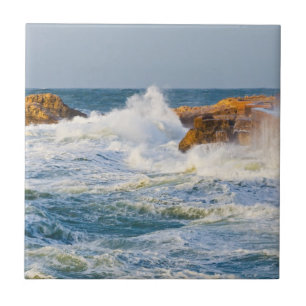 Carreau Paysage marin