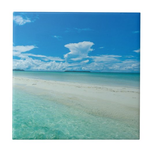 Carreau Paysage marin tropical bleu, Palaos (Devant)