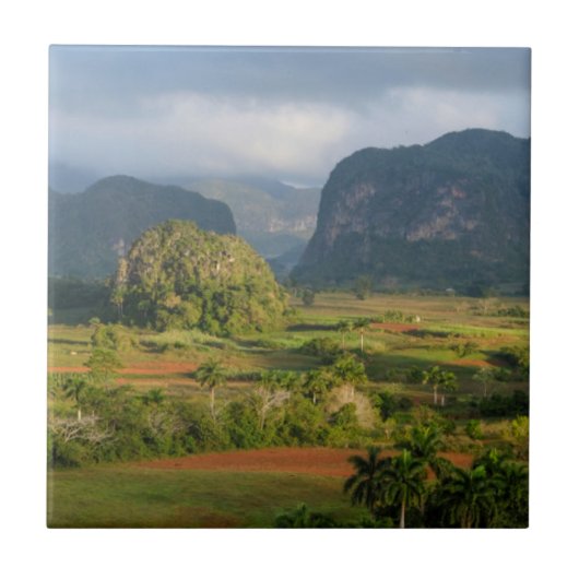 Carreau Paysage panoramique de vallée, Cuba (Devant)