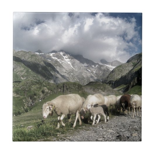 Carreau paysage pyrénéen (Devant)