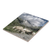 Carreau paysage pyrénéen (Côté)