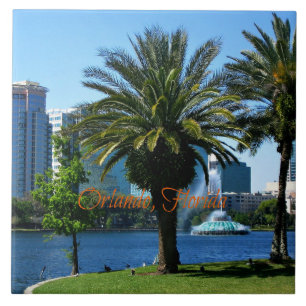 Carreau Paysage urbain d'Orlando Floride