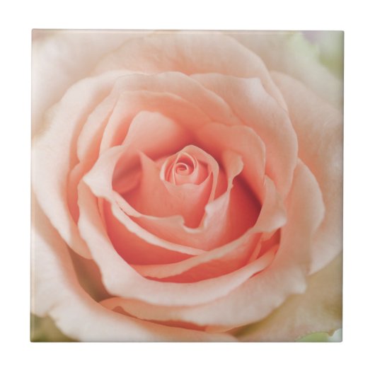 Carreau Peach rose Arrière - plan Modèle Customisé (Devant)