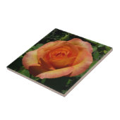 Carreau Peach Rose Orange Floral Photographie (Côté)