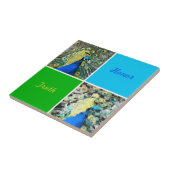 Carreau Peacock Art (Côté)