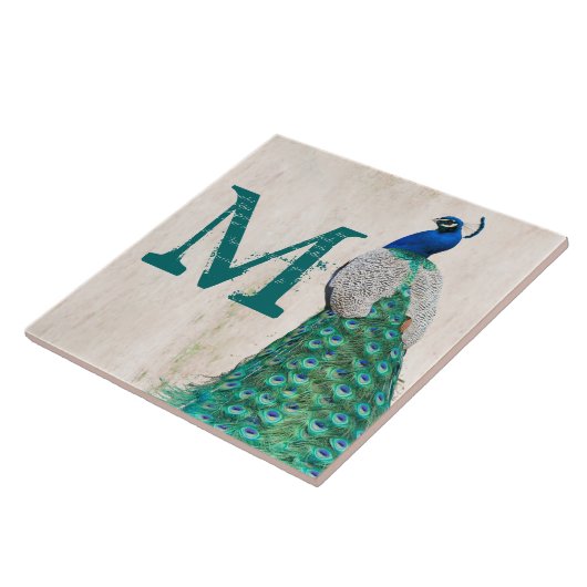 Carreau Peacock Bird Feather Turquoise Monogramme Display  (Côté)