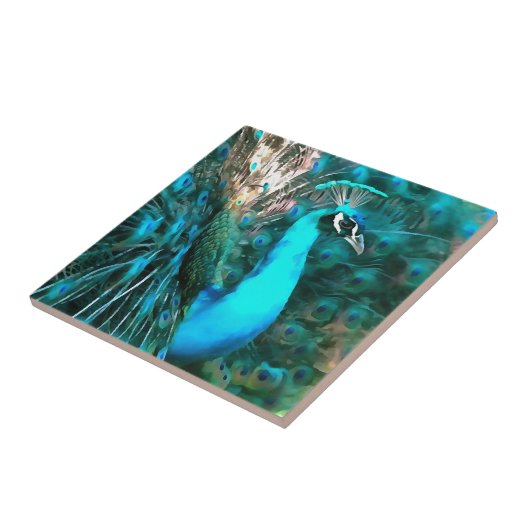 Carreau Peacock Bleu Vibrant Avec Queue Fissée (Côté)