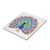 Carreau Peacock coloré (Côté)