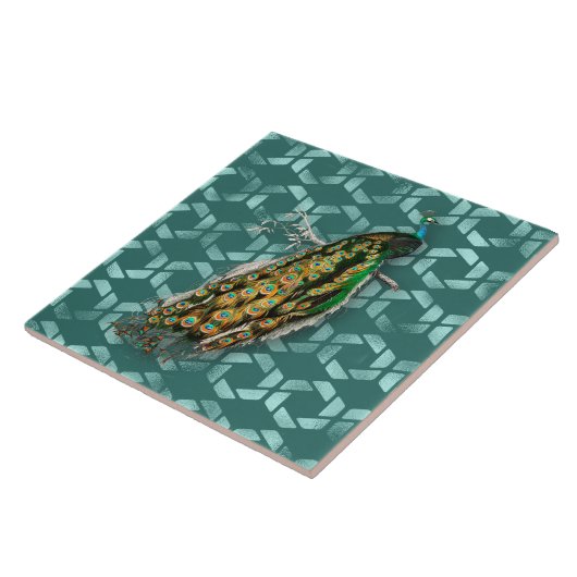 Carreau Peacock De D'Orbigny (Côté)