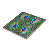 Carreau Peacock Feathers (Côté)